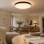 Luminaire plafonnier LED noir, verre opalin, lumière homogène